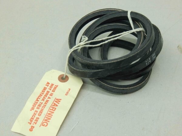 Dayco MS51065RP36-2, 3030007781241, V-Belt (Matched Set Of 2)