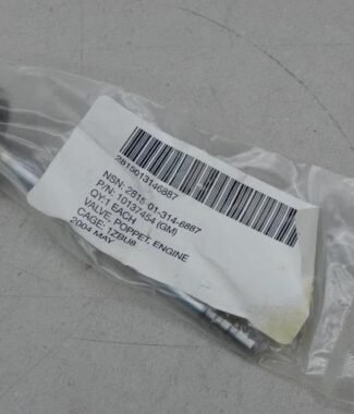 GM 10137454, 2815013146887, Engine Poppet Valve