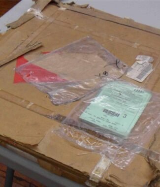 Timing Gear Cover 16101434 2815-01-173-1038 NEW